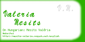 valeria mesits business card