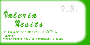 valeria mesits business card